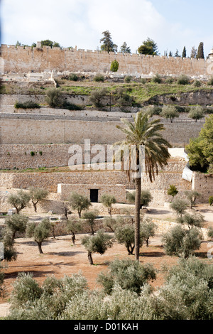 Blick vom Ölberg auf die Mauer um Jerusalem. Stockfoto