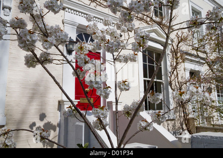 Reihenhäuser in Borough of Kensington und Chelsea im Frühjahr Stockfoto