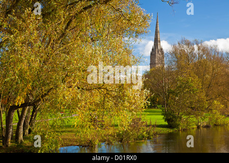 Ein Herbst Blick auf den Turm der mittelalterlichen Kathedrale von Salisbury, Wiltshire, England, UK mit dem Fluss Avon im Vordergrund. Stockfoto