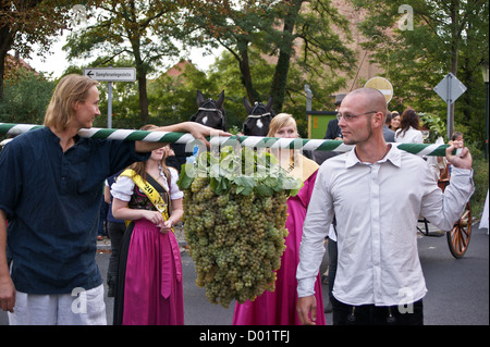 Zeremoniell Trauben von Riesling-Trauben, Radebeul Herbst Und Weinfest, Wein-Autumn Festival, Radebeul, Sachsen, Sachsen, Deutschland Stockfoto