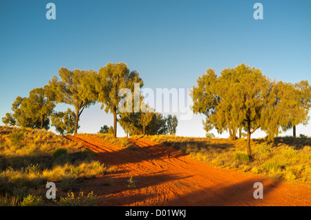 Sonnenaufgang am Desert Oaks Rest Gebiet nördlich von erldunda auf dem Stuart Highway in das Rote Zentrum des Northern Territory in Australien outback Zentrale Stockfoto