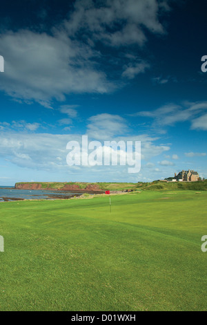 Winterfield Golfplatz, Bass Rock und John Muir übrigens Dunbar, East Lothian Stockfoto