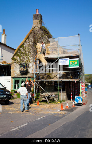 Ein master Thatcher bei der Arbeit auf dem Dach des Royal Oak Pub in Cerne Abbas, Dorset, England, UK Stockfoto