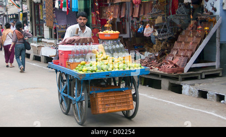 Obst Saft und Getränke Verkäufer mit Karren Pushkar Rajasthan Indien Stockfoto