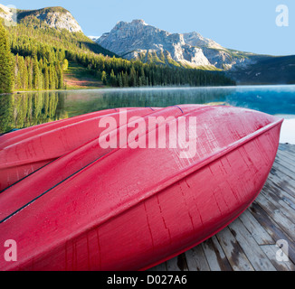 Rot-Kanus auf der Anklagebank in Emerald Lake (XXL große Datei) Stockfoto