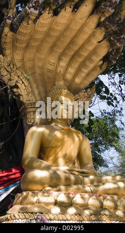 Goldene Buddha-Statue mit Naga Baldachin Wat Si Muang Vientiane Laos PDR Stockfoto