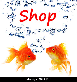 Einkaufen oder Shop-Konzept mit Wort und Goldfisch Stockfoto