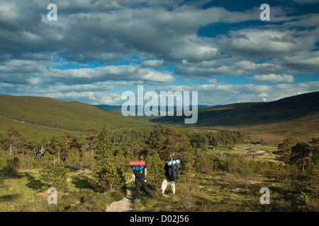 Glen Lui von Creag schlechten ein t-Seabhaig, Derry Cairngorm, Aberdeenshire Stockfoto