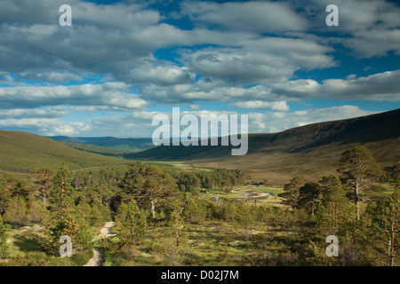 Glen Lui von Creag schlechten ein t-Seabhaig, Derry Cairngorm, Aberdeenshire Stockfoto