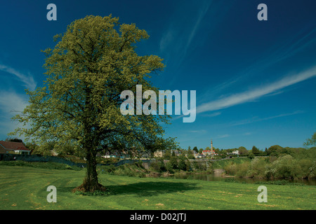 Coldstream und dem Fluss Tweed, Scottish Borders Stockfoto