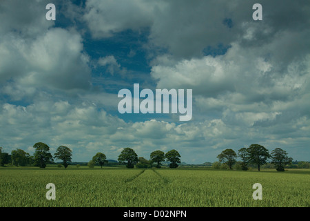 John Muir Weg in der Nähe von Dunbar, East Lothian Stockfoto