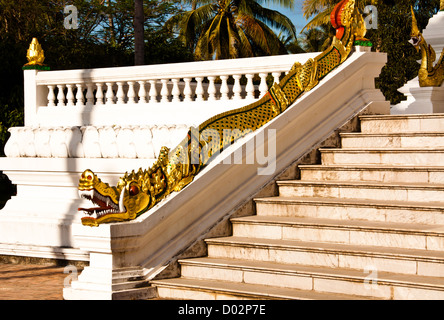 Schlange, Aggression nachzuverfolgen. Sorgfältig. Stockfoto