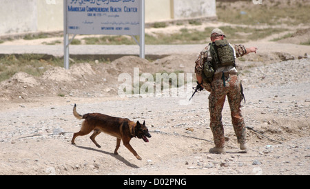 Ein militärischer Arbeitshund nimmt Anweisungen von seinem Führer, einen Kanal für Sprengstoff während einer Operation mit einem Royal Air Force Regiment 20. Juli 2008 in Kandahar, Afghanistan zu überprüfen. Die RAF patrouilliert regelmäßig rund um Kandahar Flugplatz um Raketenangriffe auf der Basis zu verhindern. Stockfoto