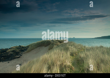 Fidra Leuchtturm in der Nähe von Yellowcraigs, East Lothian Stockfoto