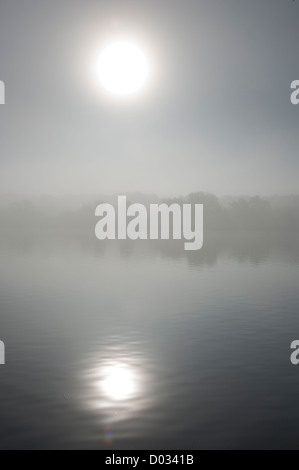 Whitlingham große Breite Norfolk im Herbst Nebel Stockfoto