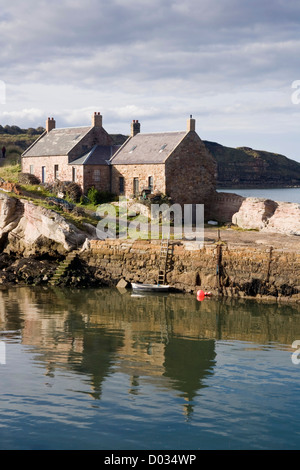 BUCHT-HAFEN-BERWICKSHIRE, SCHOTTLAND. Stockfoto