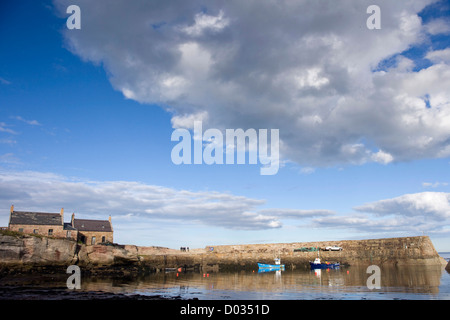 BUCHT-HAFEN-BERWICKSHIRE, SCHOTTLAND. Stockfoto