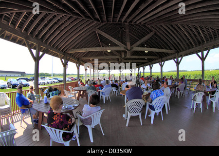 Outdoor-Entertainment-Bereich Pindar Weinberge Nordgabel des Long Island New York Stockfoto