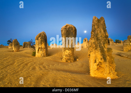 Vollmond über der Pinnacle Desert im Nambung National Park. Stockfoto