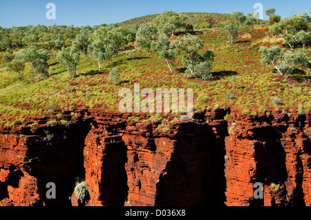 Spinifex-Hügel auf Weano Gorge. Stockfoto