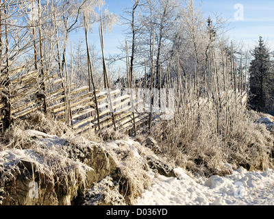 Neuer Schnee und Frost auf Felsen Bäume und Runde Pfosten Zaun an einem sonnigen Tag in der Nähe von Oslo Norwegen Stockfoto