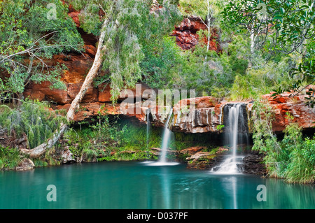 Smaragdfarbenes Wasser am Fern Pool im Karijini Nationalpark. Stockfoto