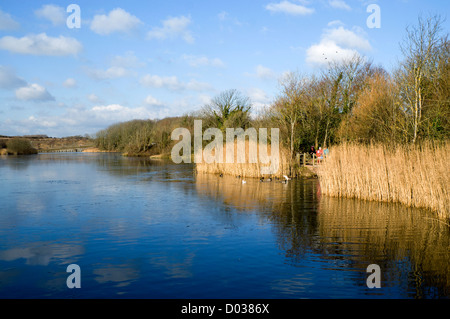 See, Cosmeston Seen und Country Park, Penarth, Vale von Glamorgan, South Wales, UK. Stockfoto