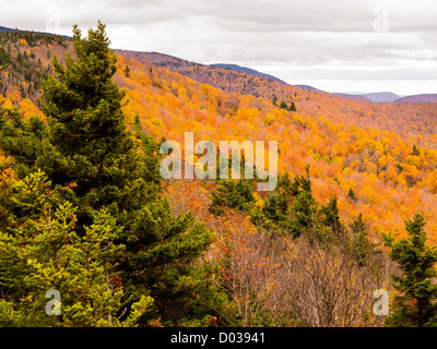 WARREN, VERMONT, USA - Herbstlaub in Breadloaf Wildnis in Green Mountain National Forest. Stockfoto