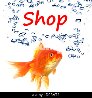 Einkaufen oder Shop-Konzept mit Wort und Goldfisch Stockfoto