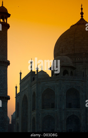 Taj Mahal-Mausoleum Agra Uttar Pradesh, Indien Stockfoto