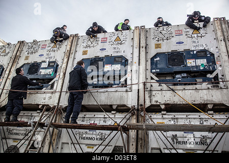 US Zoll & Border Protection Polizei untersuchen Ladungsbehälter 11. November 2012 im Hafen von New York in Newark, New Jersey. Stockfoto