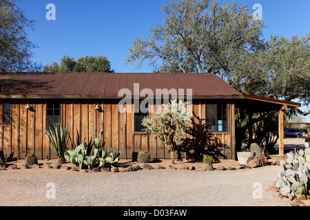 Tucson, Arizona, Vereinigte Staaten von Amerika. Weißen Hengst Dude Ranch Stockfoto