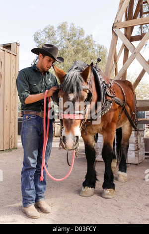 Tucson, Arizona, Vereinigte Staaten von Amerika. Weißen Hengst Dude Ranch Stockfoto