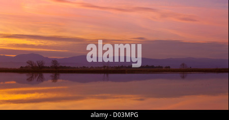 Reflexionen im gefluteten Reisfeldern im Sacramento Valley, Kalifornien, bei Sonnenuntergang. Stockfoto