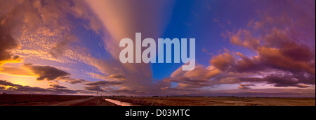 Dramatischen Sonnenuntergang über gefluteten Reisfeldern in Sacramento Senke von Nordkalifornien. Stockfoto