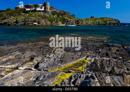 Illa de S'Arenella. Cadaqués. Parque Natural del Cap de Creus. Alt Empordà. Girona. Cataluña. España Stockfoto