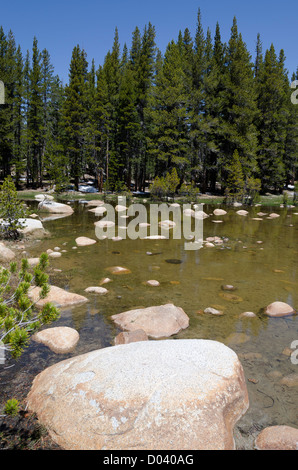 See mit glatten Felsen am Tioga Pass im Yesemite National Park in Kalifornien in den Vereinigten Staaten von Amerika Stockfoto