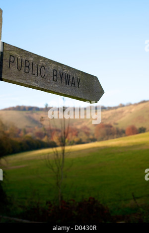 "Bis zu den Hügeln" eine öffentliche Byway melden Sie über die Felder auf die North Downs Kreide Böschung in Surrey bei tief stehender Sonne Stockfoto