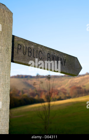 "Bis zu den Hügeln" eine öffentliche Byway melden Sie über die Felder auf die North Downs Kreide Böschung in Surrey bei tief stehender Sonne Stockfoto