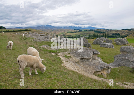 Die seltsame Landschaft bei Elephant Rocks, North Otago auf der Südinsel Neuseelands Stockfoto