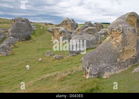 Die seltsame Landschaft bei Elephant Rocks, North Otago auf der Südinsel Neuseelands Stockfoto