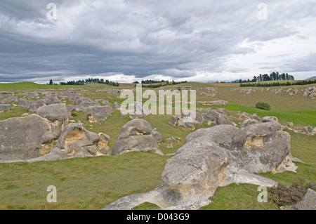 Die seltsame Landschaft bei Elephant Rocks, North Otago auf der Südinsel Neuseelands Stockfoto