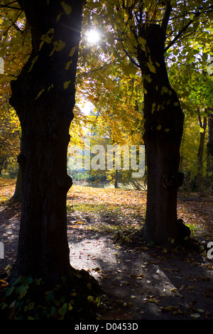 Parklandschaft auf der Glienicker Brücke Stockfoto