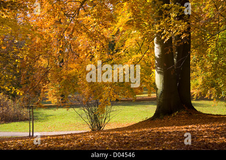 Parklandschaft auf der Glienicker Brücke Stockfoto