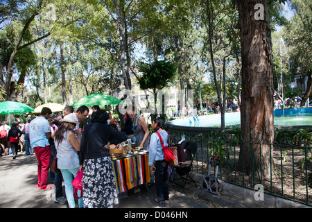Kleiner Flohmarkt im Plaza Luis Cabrera im Roma-Viertel von Mexiko-Stadt-DF Stockfoto