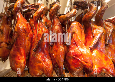 Hühner und Enten ausgestellt und zum Verkauf in San Francisco Chinatown Metzger. Stockfoto