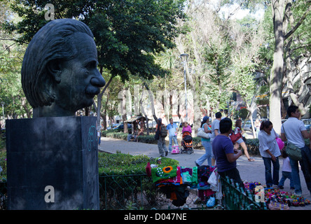 Einstein Bronze-Büste am Parque Mexiko in Mexiko-Stadt DF Stockfoto