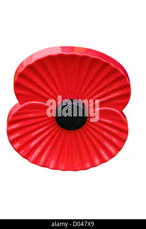 Royal British Legion Mohn Stockfoto