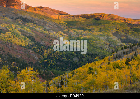 Herbst oder Herbst in die Manti La Sal Mountains, mit Espen, in der Nähe von Monticello, Utah, USA Stockfoto