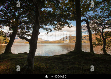 Die Ufer des Derwent Water in der Nähe von Keswick, Lake District, Großbritannien. Stockfoto